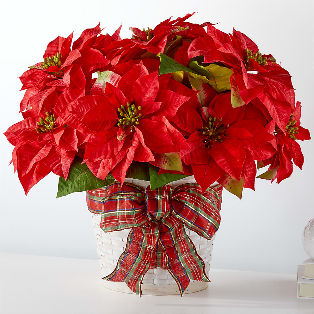 Happiest Holidays Poinsettia – Loveland Colorado Flowers, Loveland CO