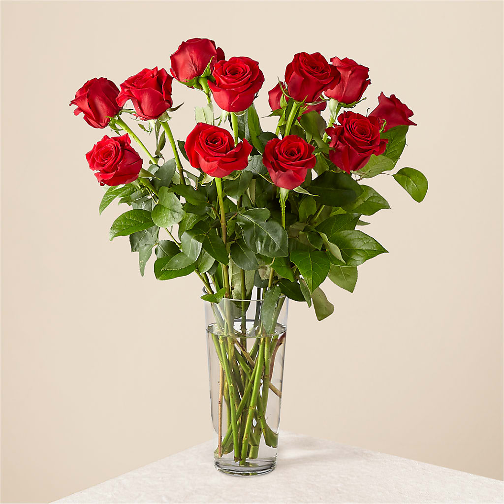 Long Stem Red Rose Bouquet – Loveland Colorado Flowers, Loveland CO