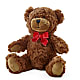 Adorable Plush Bear – Loveland Colorado Flowers, Loveland CO