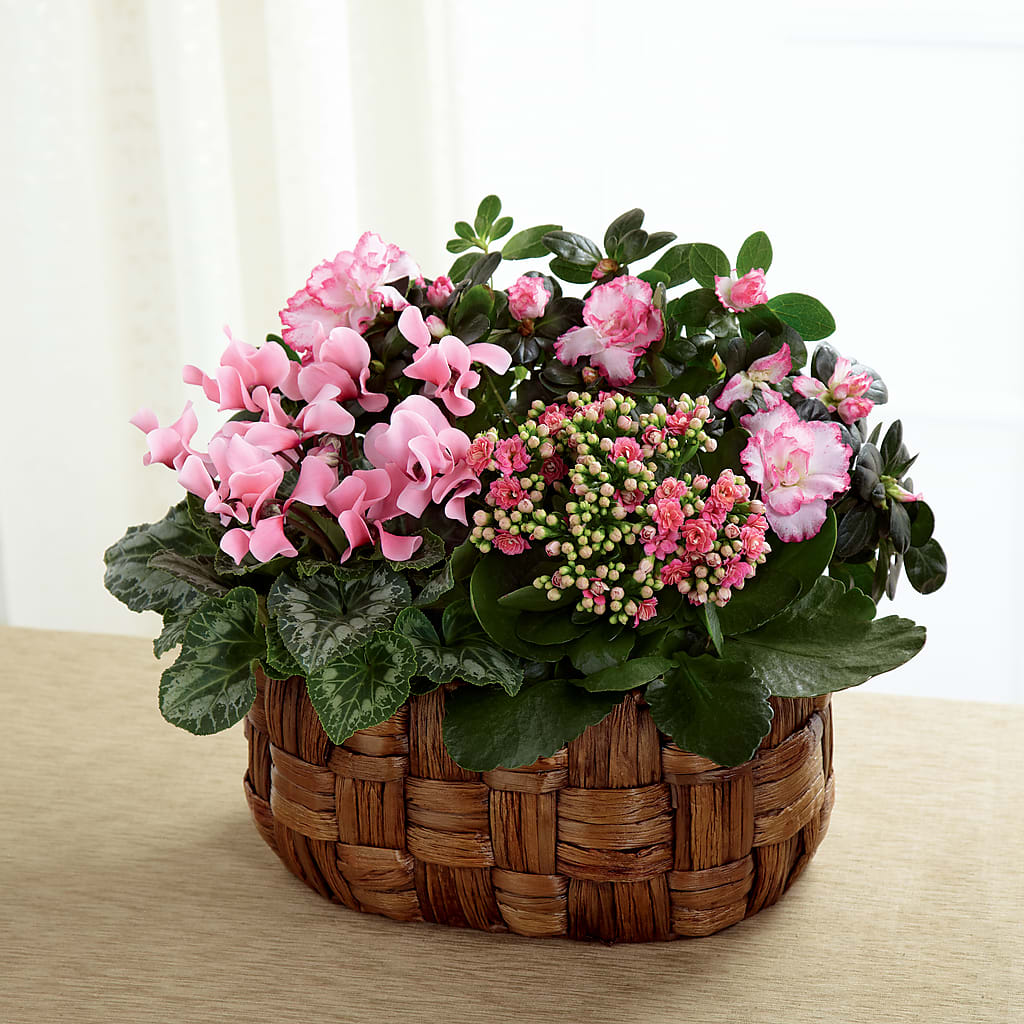 Pink Assortment – Loveland Colorado Flowers, Loveland CO