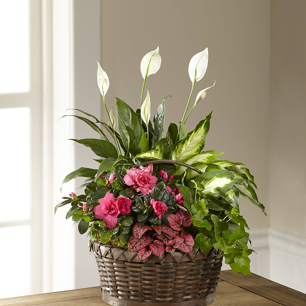 Dream in Pink Dishgarden – Loveland Colorado Flowers, Loveland CO
