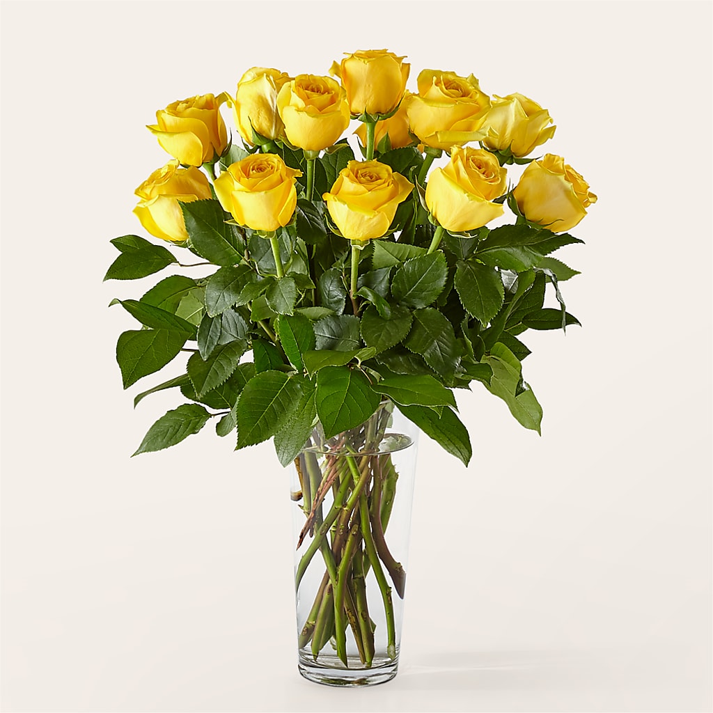 Long Stem Yellow Rose Bouquet – Loveland Colorado Flowers, Loveland CO