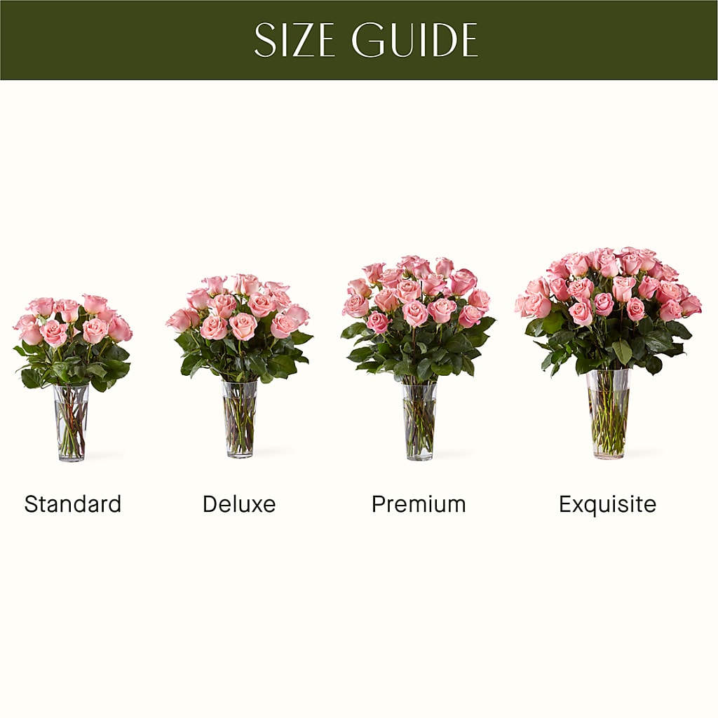Long Stem Pink Rose Bouquet – Loveland Colorado Flowers, Loveland CO