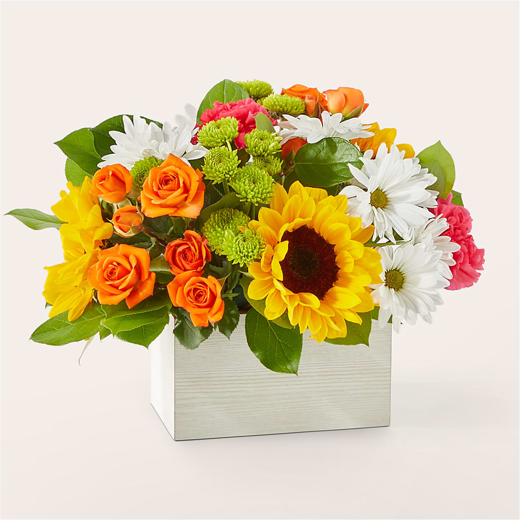 Sun-drenched Blooms Box Bouquet – Loveland Colorado Flowers, Loveland CO