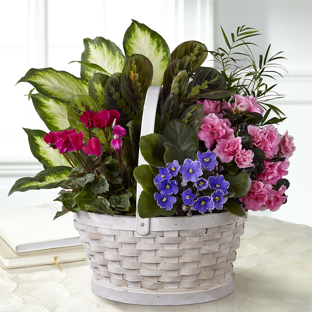 Peaceful Garden Planter – Loveland Colorado Flowers, Loveland CO
