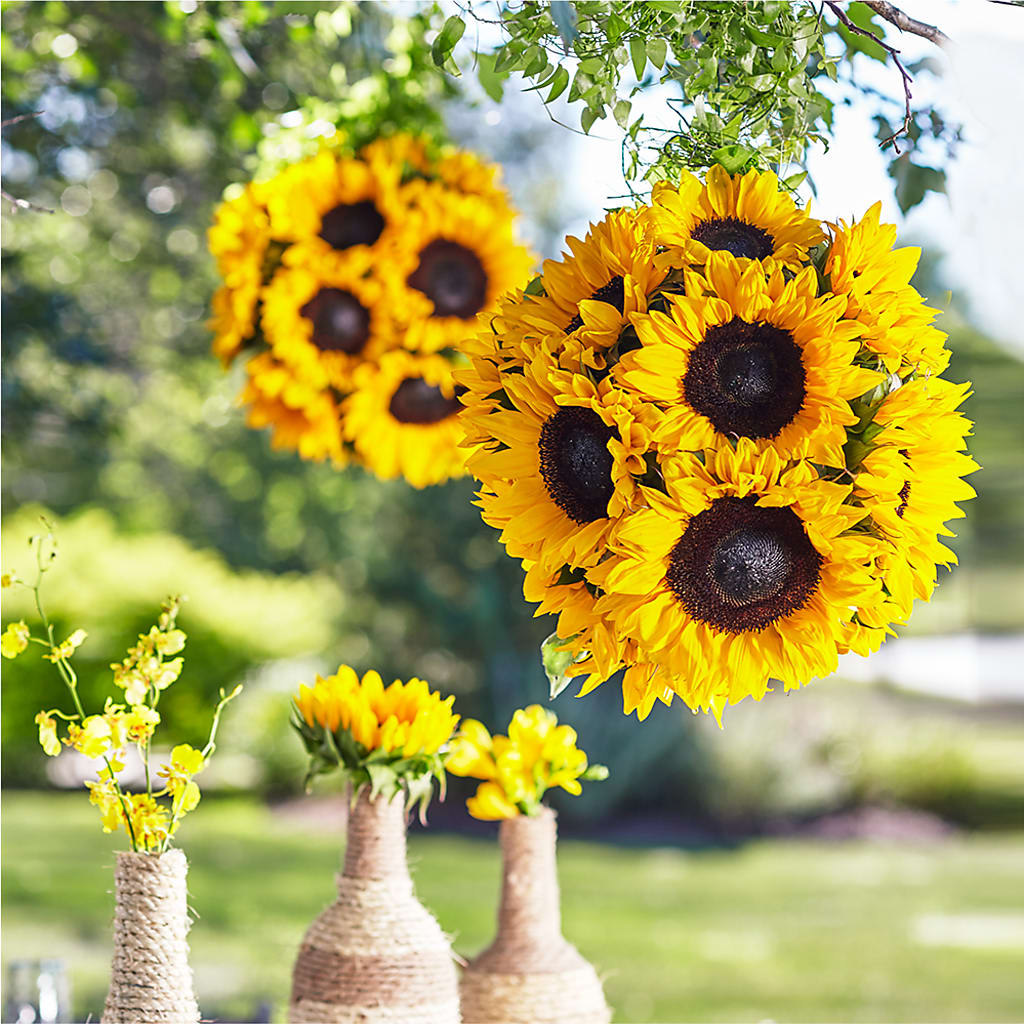 Sublime Garden Hanging Arrangement – Loveland Colorado Flowers, Loveland CO
