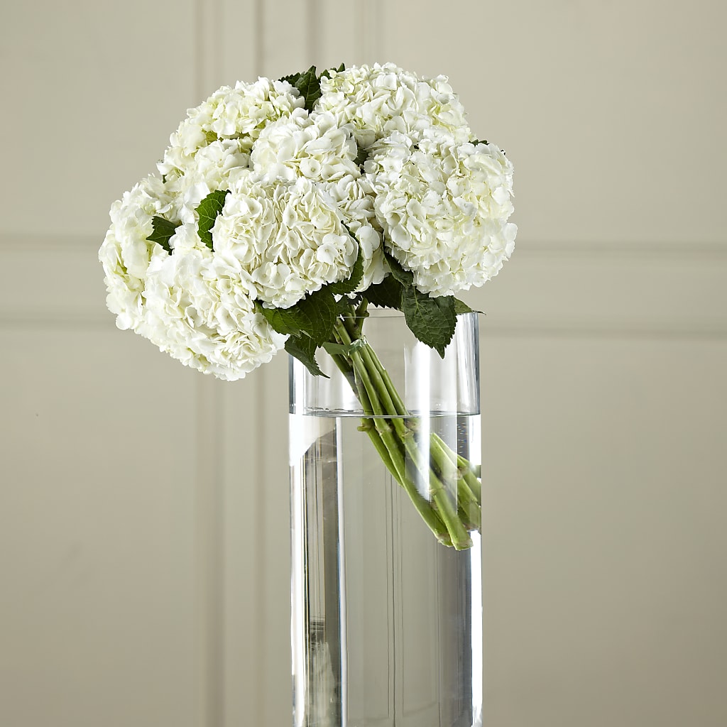 White Hydrangea Hand-Tied Bouquet – Loveland Colorado Flowers, Loveland CO