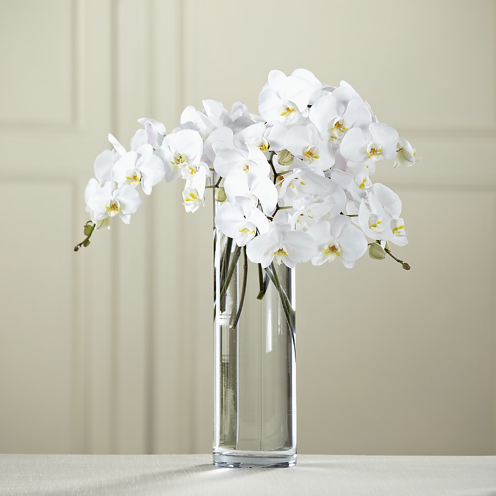 White Phalaenopsis Bouquet – Loveland Colorado Flowers, Loveland CO