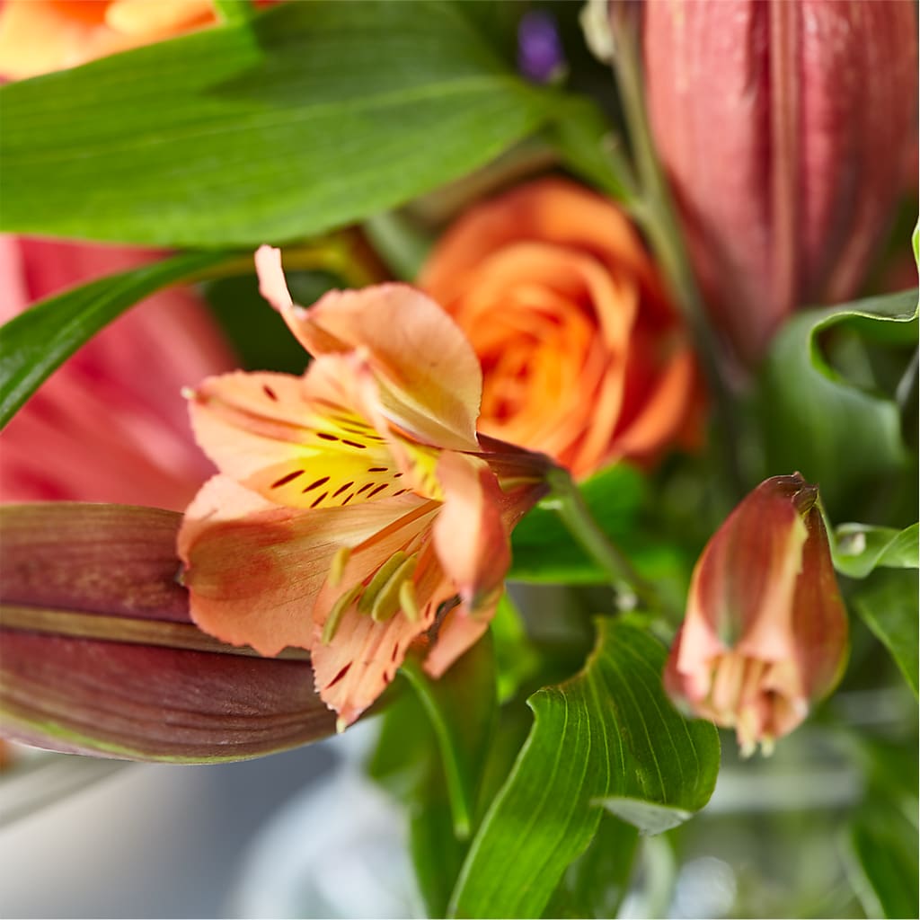 Bold & Bright – A Florist Original –  Loveland Colorado Flowers, Loveland CO