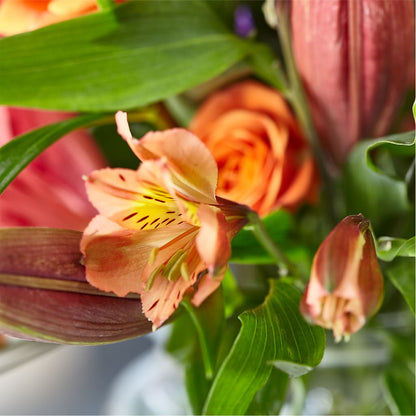 Bold & Bright – A Florist Original –  Loveland Colorado Flowers, Loveland CO
