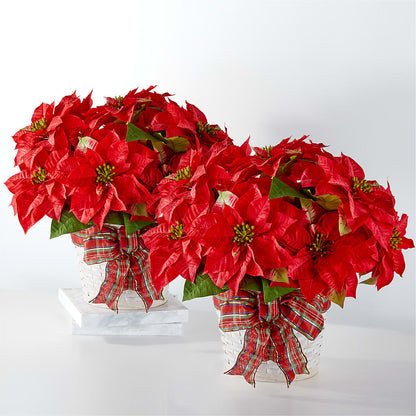 Happiest Holidays Poinsettia Bundle –  Loveland Colorado Flowers, Loveland CO