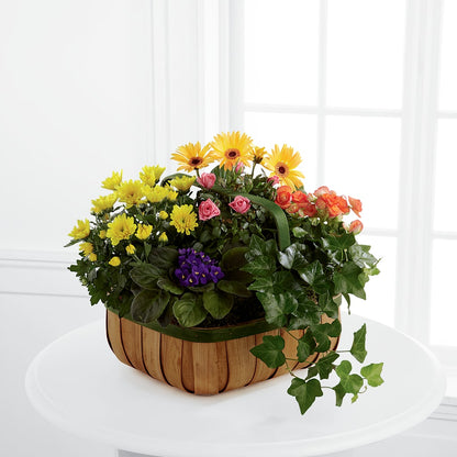 Gentle Blossoms Basket –  Loveland Colorado Flowers, Loveland CO