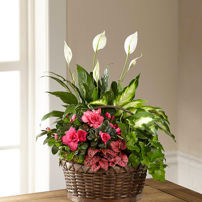 Dream in Pink Dishgarden –  Loveland Colorado Flowers, Loveland CO