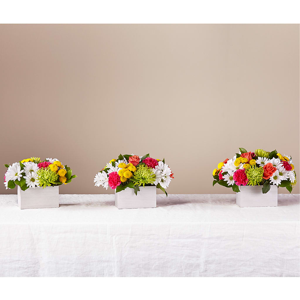 Sorbet Bouquet –  Loveland Colorado Flowers, Loveland CO