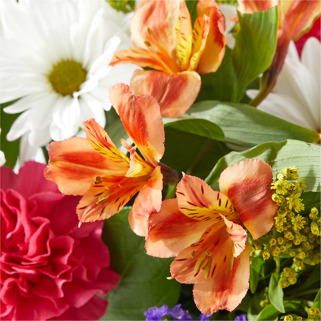 Oopsie Daisy Box Bouquet –  Loveland Colorado Flowers, Loveland CO