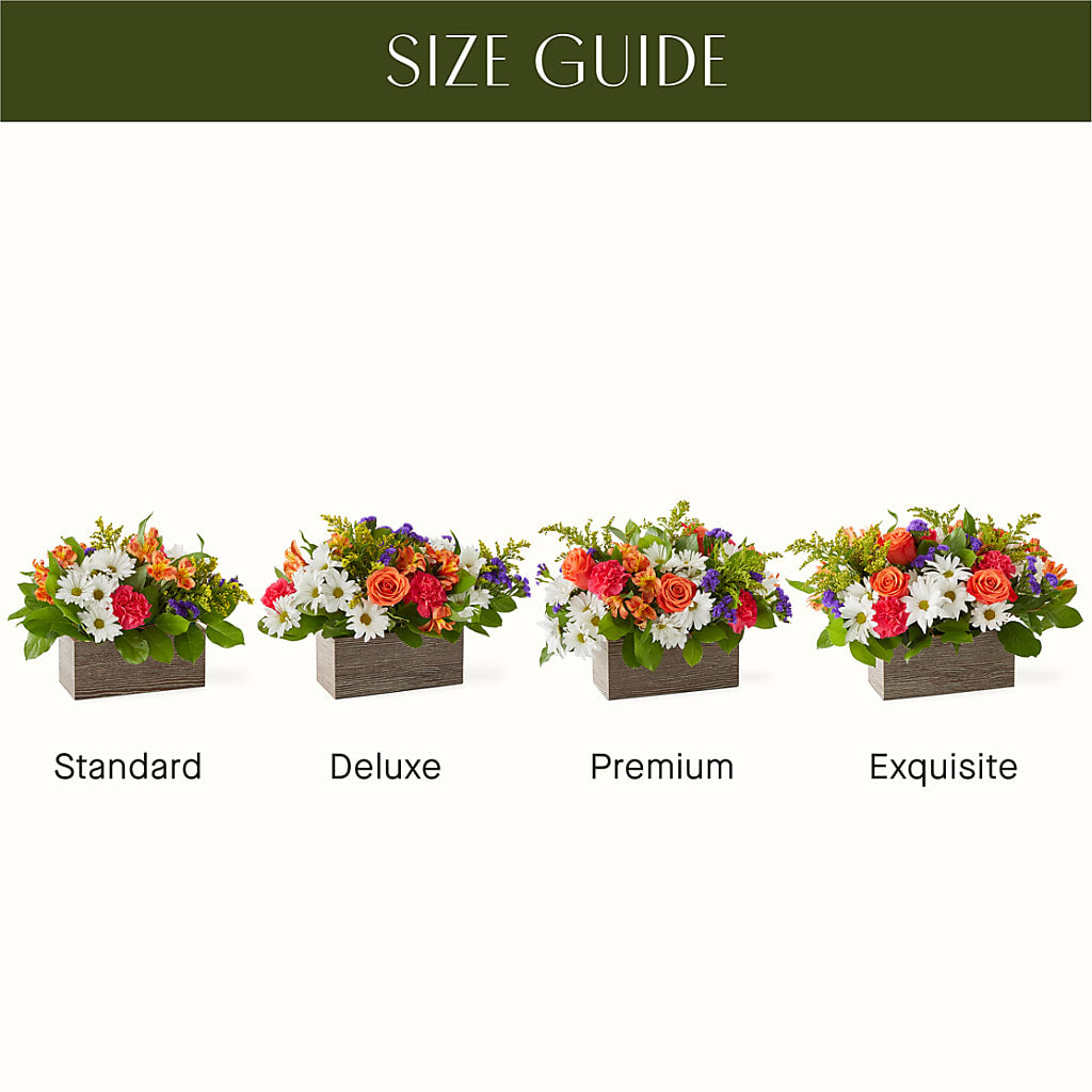 Oopsie Daisy Box Bouquet –  Loveland Colorado Flowers, Loveland CO