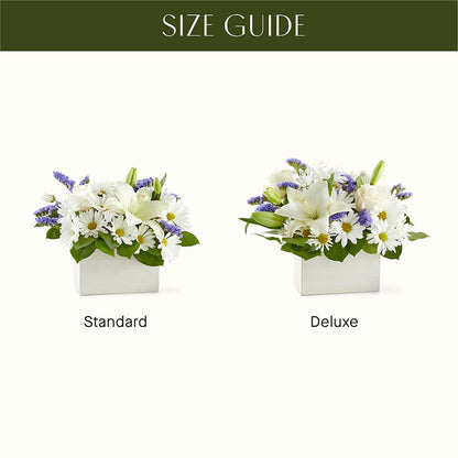 Beyond Blue Box Bouquet –  Loveland Colorado Flowers, Loveland CO