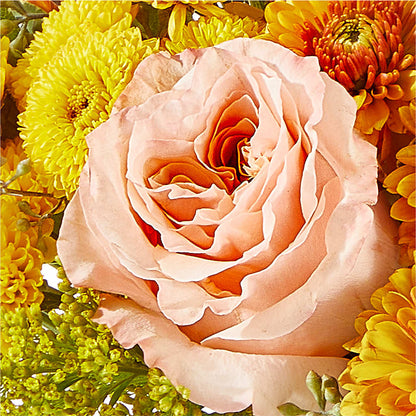 Peachy Pumpkin –  Loveland Colorado Flowers, Loveland CO