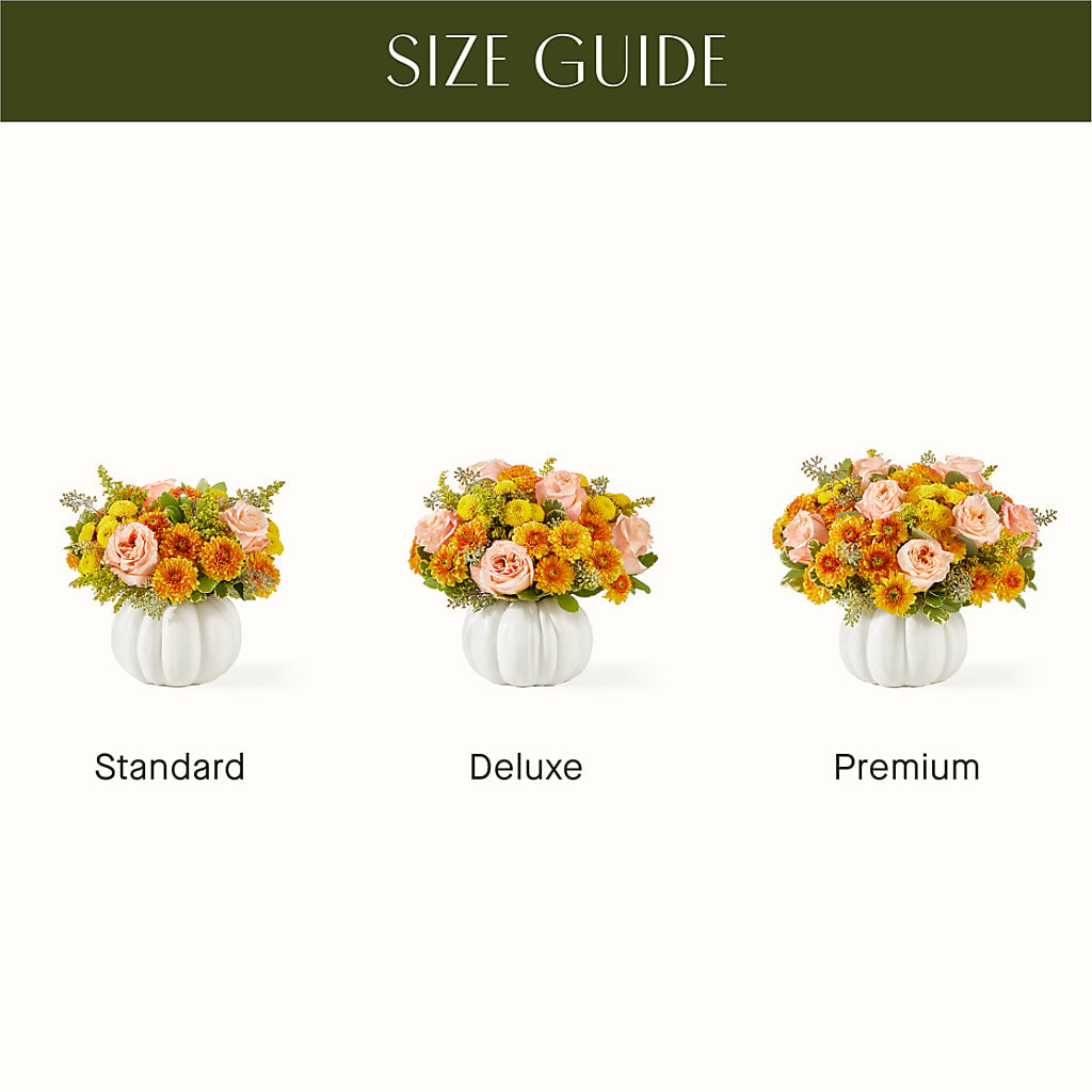 Peachy Pumpkin –  Loveland Colorado Flowers, Loveland CO