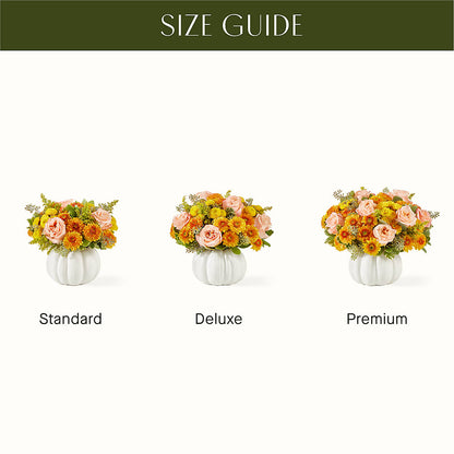 Peachy Pumpkin –  Loveland Colorado Flowers, Loveland CO
