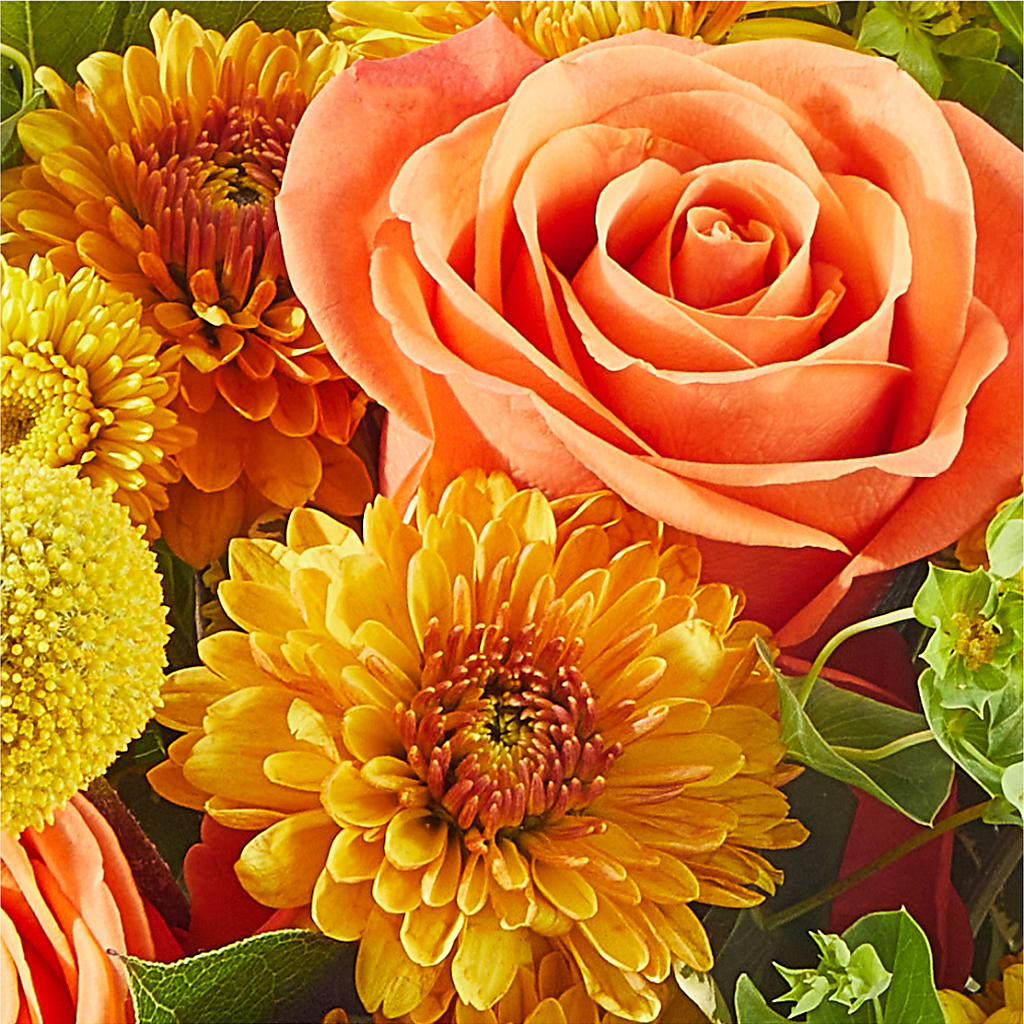 Gourdgeous Pumpkin –  Loveland Colorado Flowers, Loveland CO