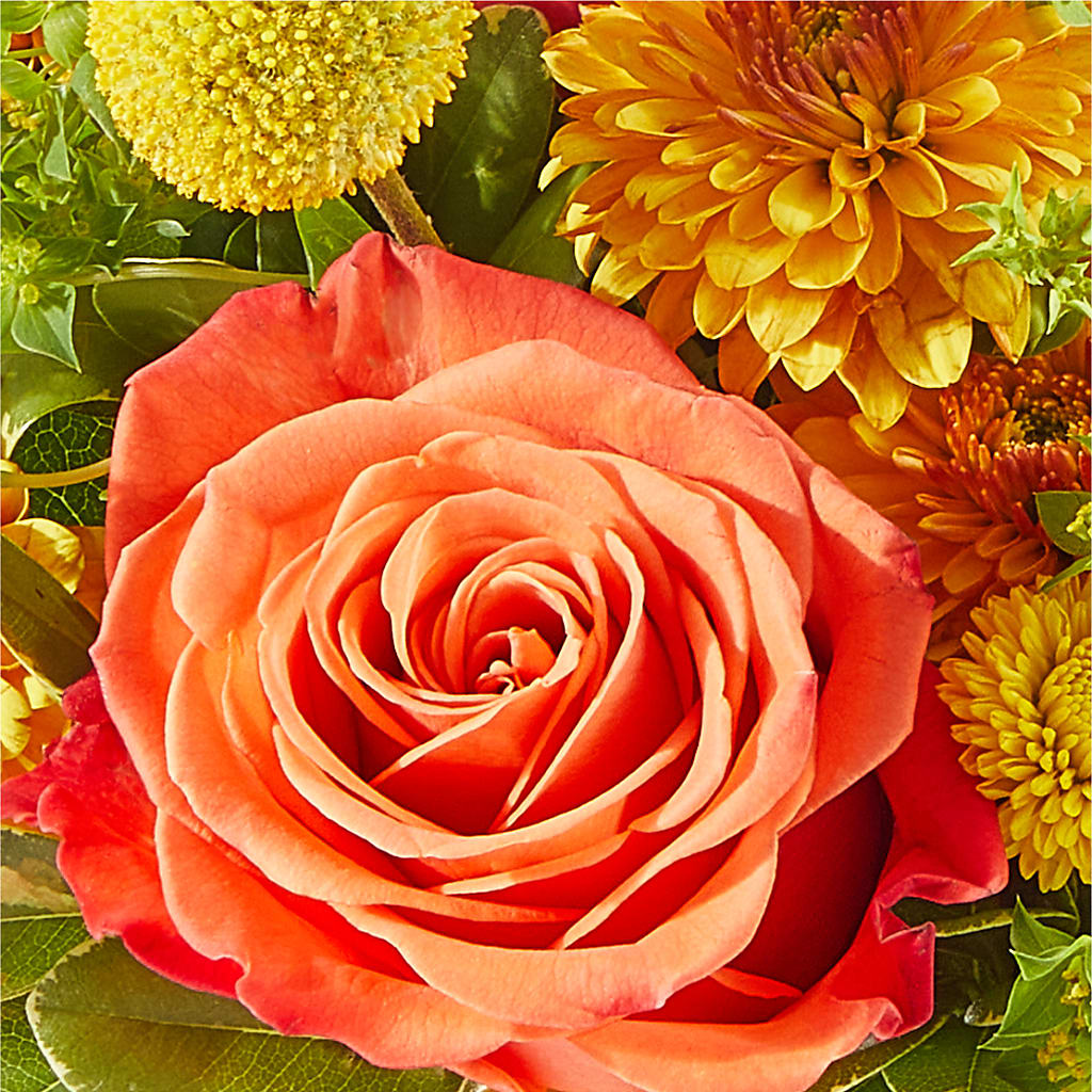 Gourdgeous Pumpkin –  Loveland Colorado Flowers, Loveland CO