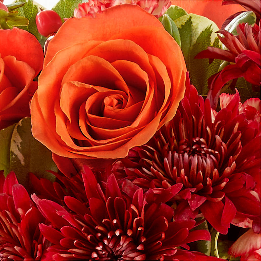 Autumn Air Pumpkin Bouquet –  Loveland Colorado Flowers, Loveland CO