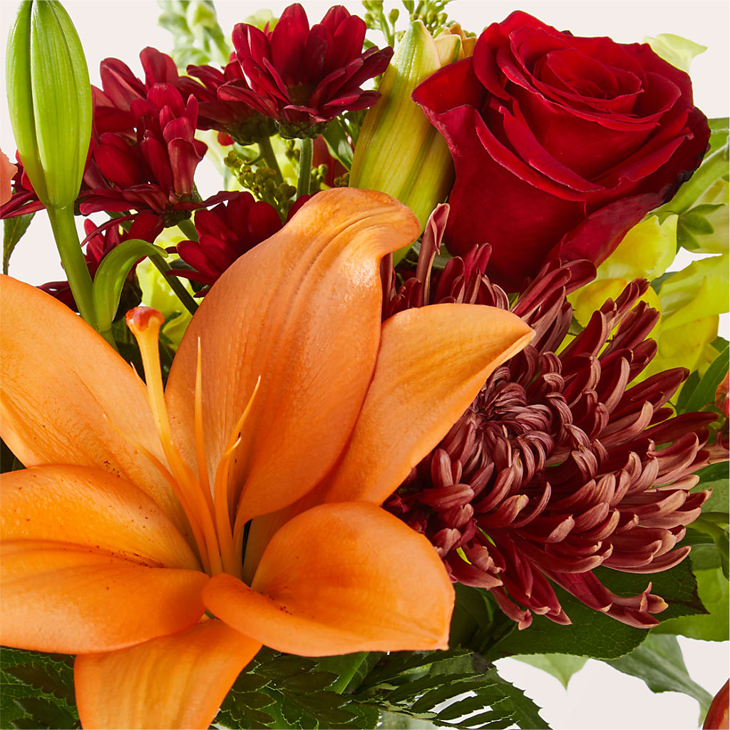 Sweater Season - A Florist Original –  Loveland Colorado Flowers, Loveland CO