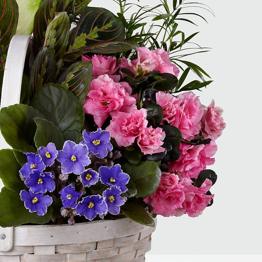 Peaceful Garden Planter –  Loveland Colorado Flowers, Loveland CO