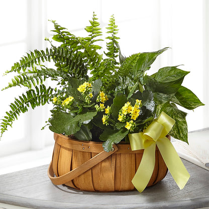 Always Dear Dishgarden –  Loveland Colorado Flowers, Loveland CO