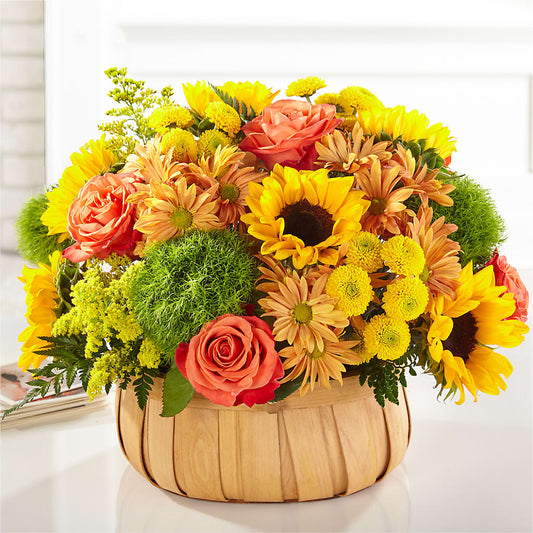 Harvest Sunflower Basket –  Loveland Colorado Flowers, Loveland CO
