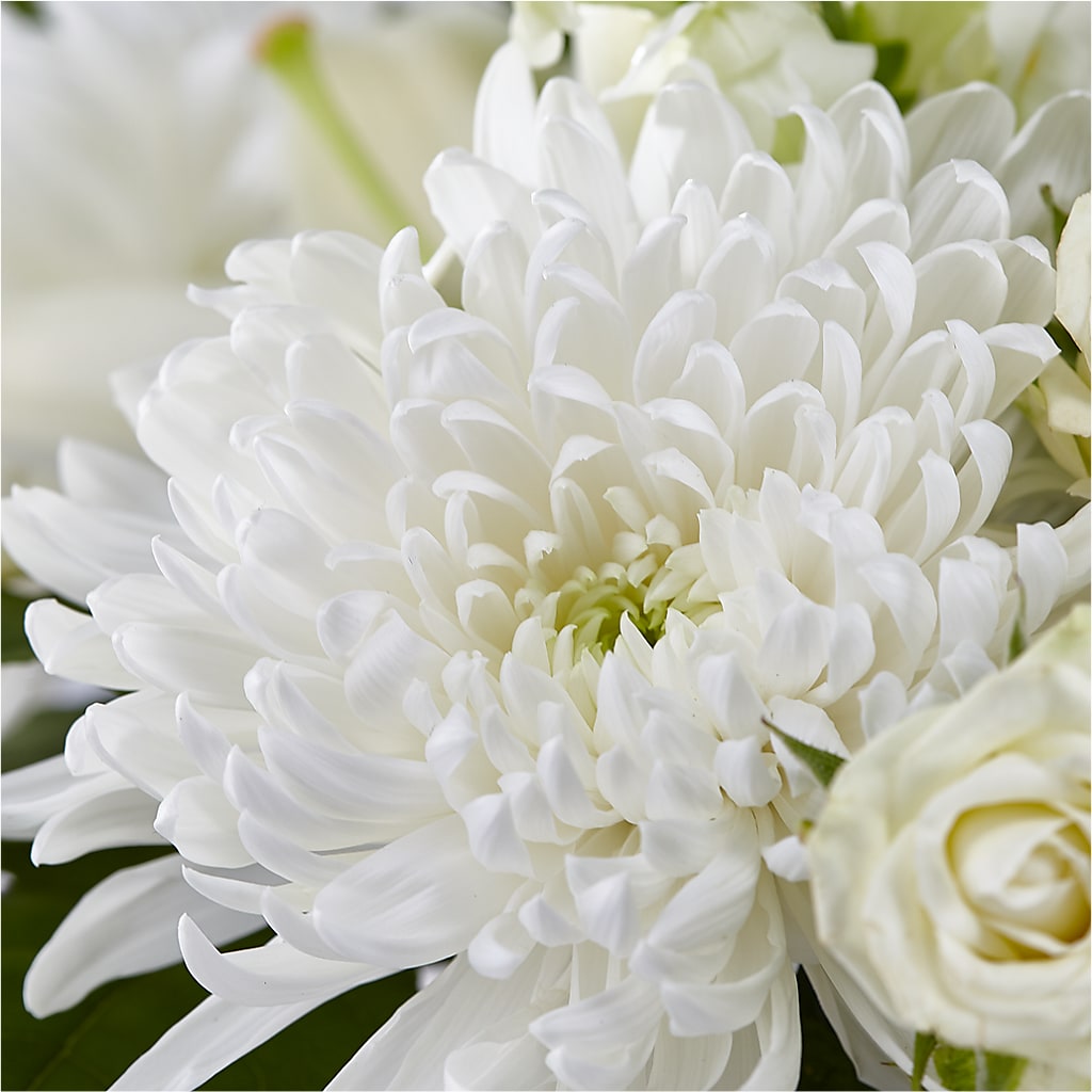 Classic Ivory – A Florist Original –  Loveland Colorado Flowers, Loveland CO