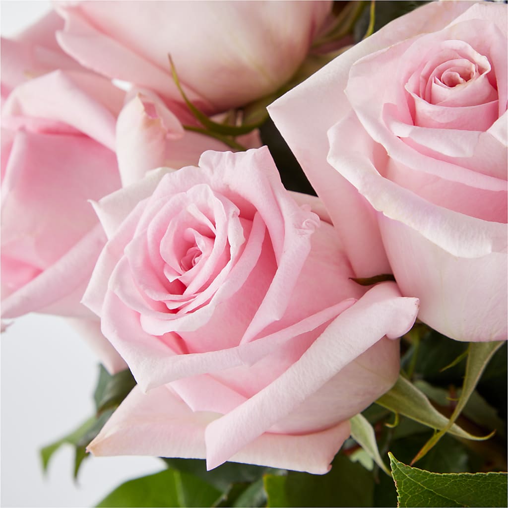 Picture Perfect Pink Rose Bouquet –  Loveland Colorado Flowers, Loveland CO