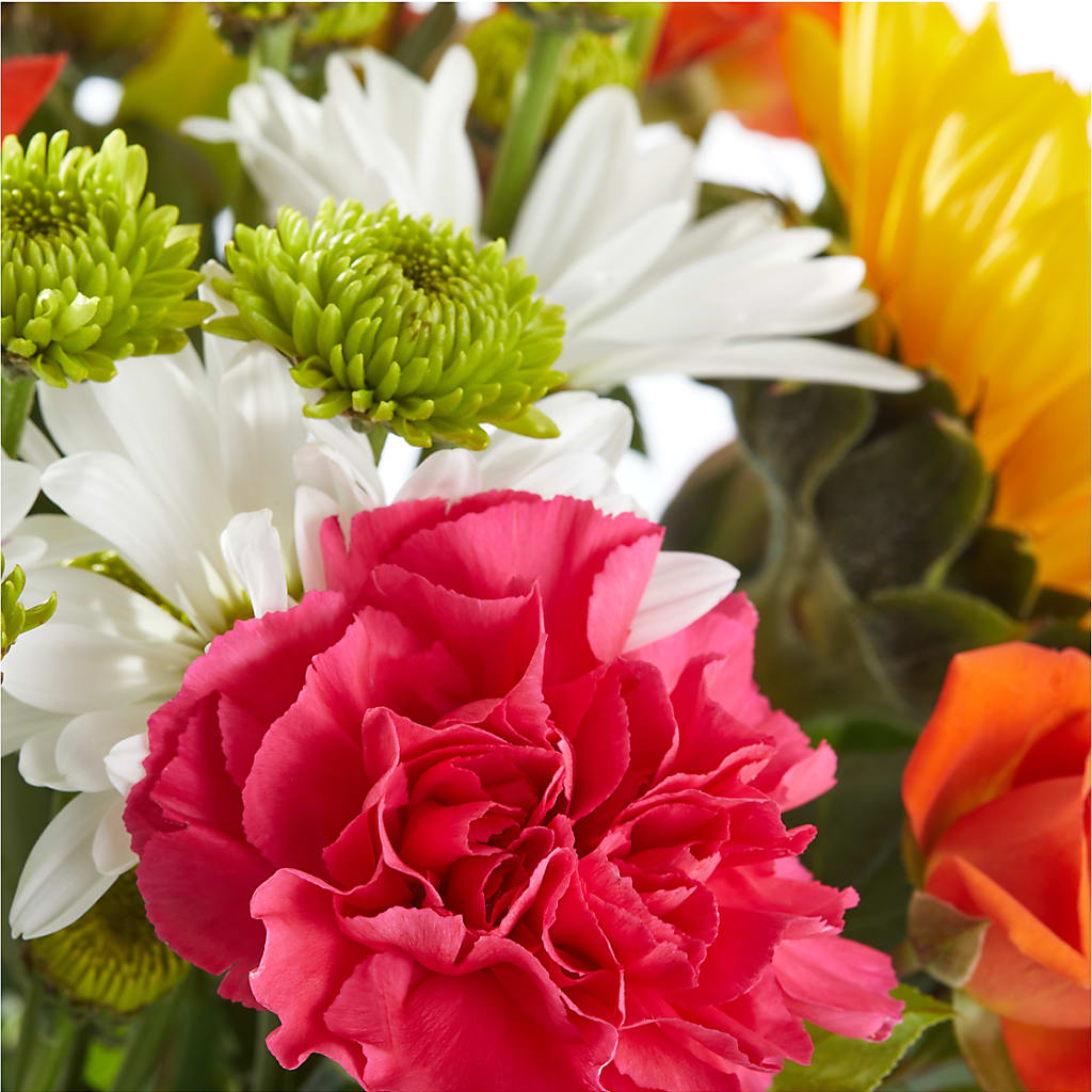 Sun-drenched Blooms Bouquet –  Loveland Colorado Flowers, Loveland CO