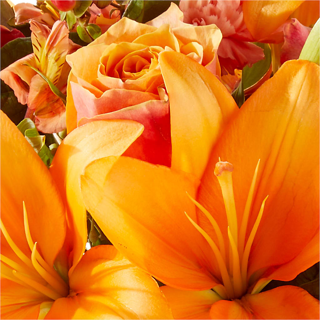 Afternoon Light Bouquet –  Loveland Colorado Flowers, Loveland CO