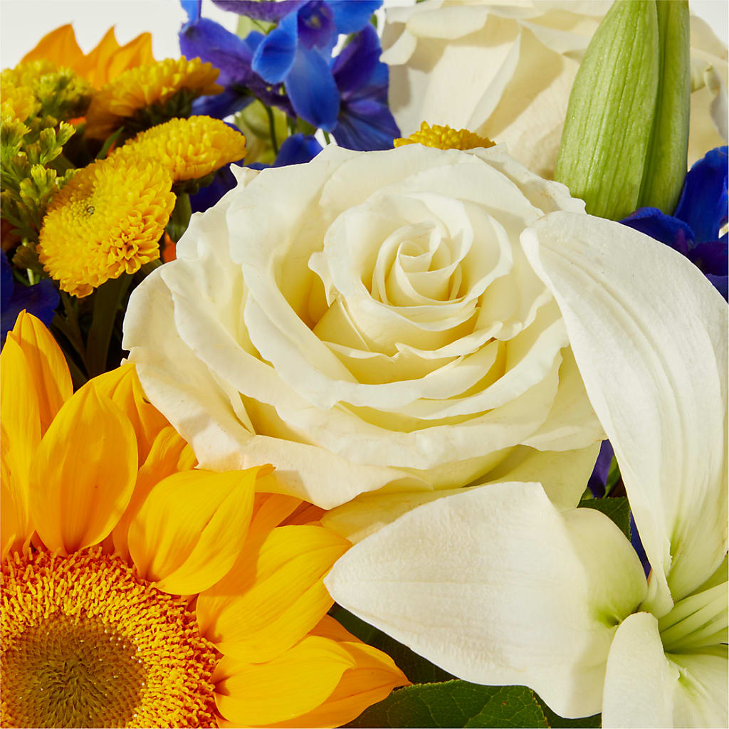 Stargazing Bouquet –  Loveland Colorado Flowers, Loveland CO