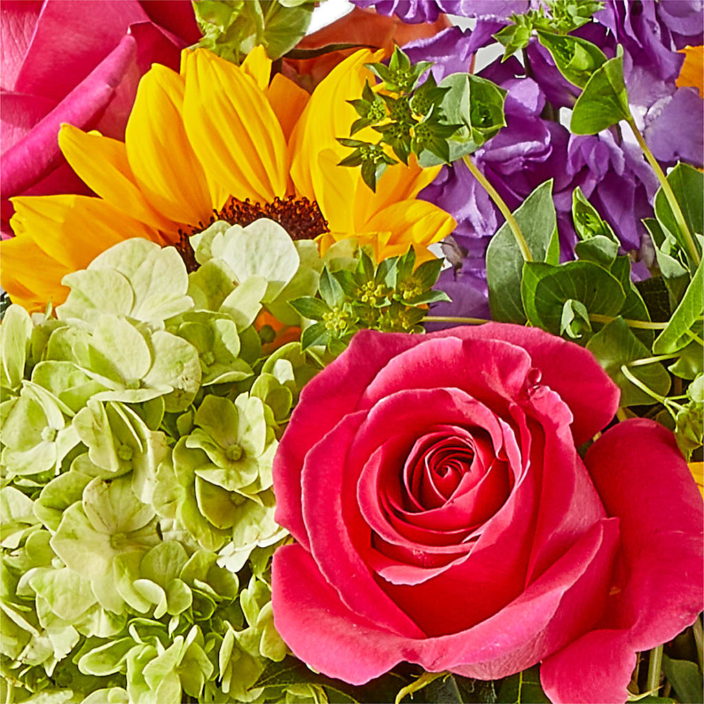 Vibrant Greetings Bouquet –  Loveland Colorado Flowers, Loveland CO