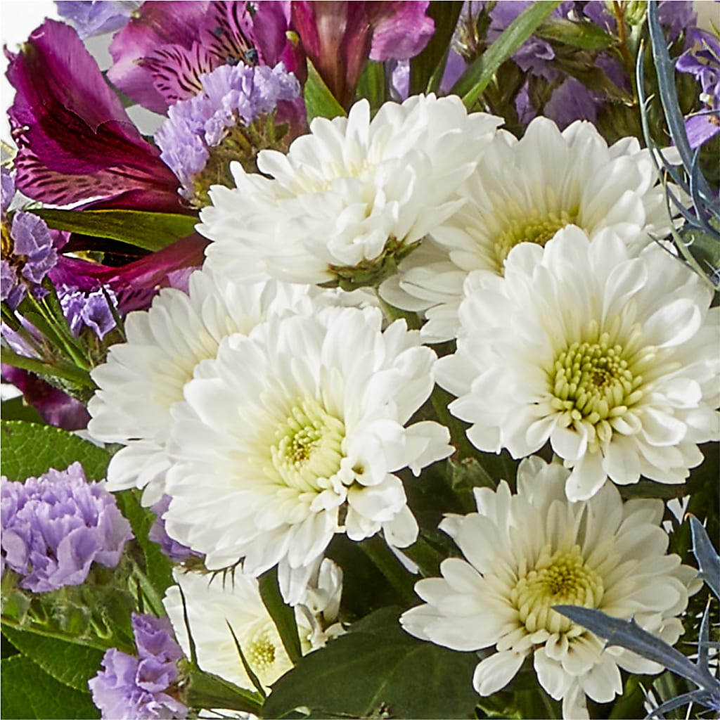 Shooting Star Bouquet –  Loveland Colorado Flowers, Loveland CO