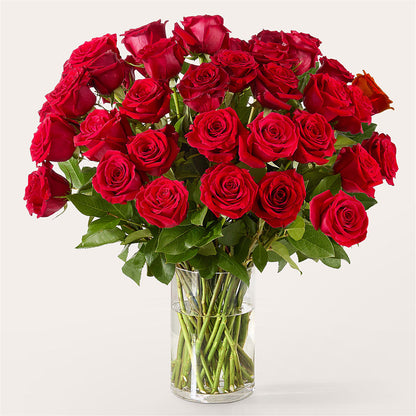 The One Red Rose Bouquet –  Loveland Colorado Flowers, Loveland CO