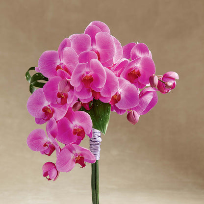 Glorious Bouquet –  Loveland Colorado Flowers, Loveland CO