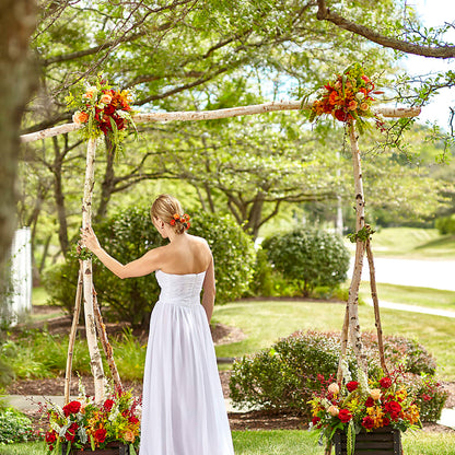 Arbor of Love Archway –  Loveland Colorado Flowers, Loveland CO