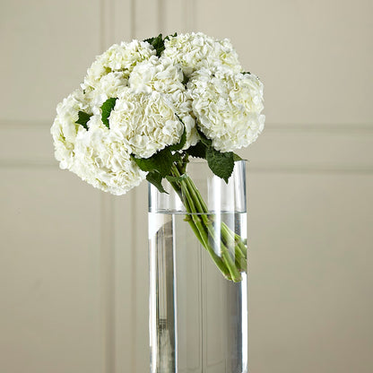 White Hydrangea Hand-Tied Bouquet –  Loveland Colorado Flowers, Loveland CO