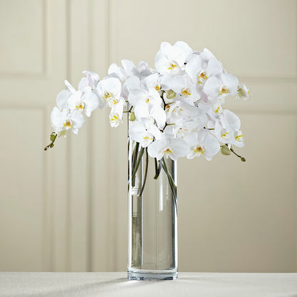 White Phalaenopsis Bouquet –  Loveland Colorado Flowers, Loveland CO