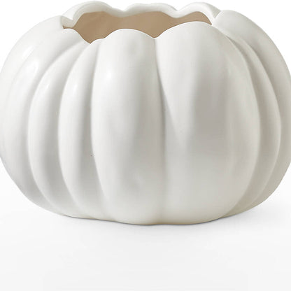 Autumn Air Pumpkin Bouquet –  Loveland Colorado Flowers, Loveland CO